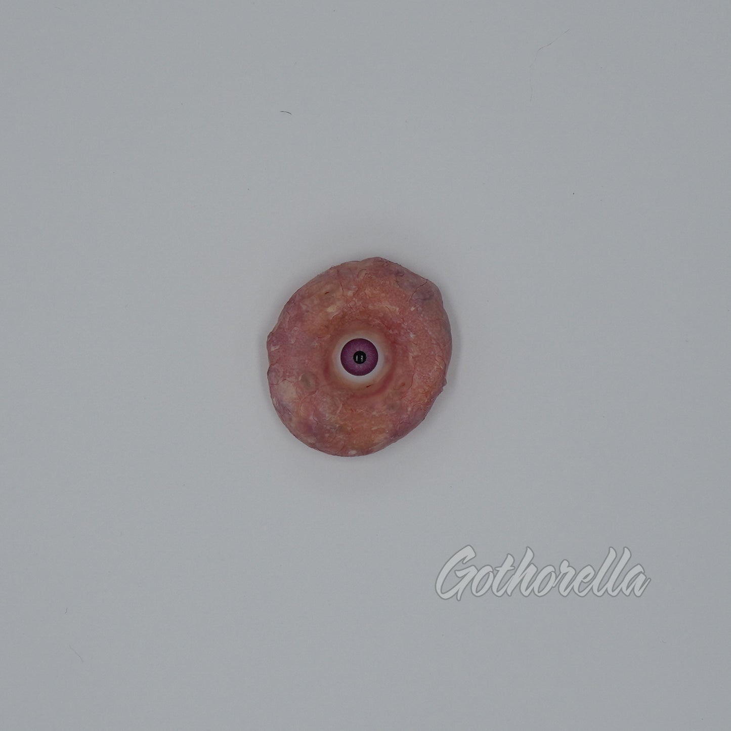 Thomasina the mini fleshnut