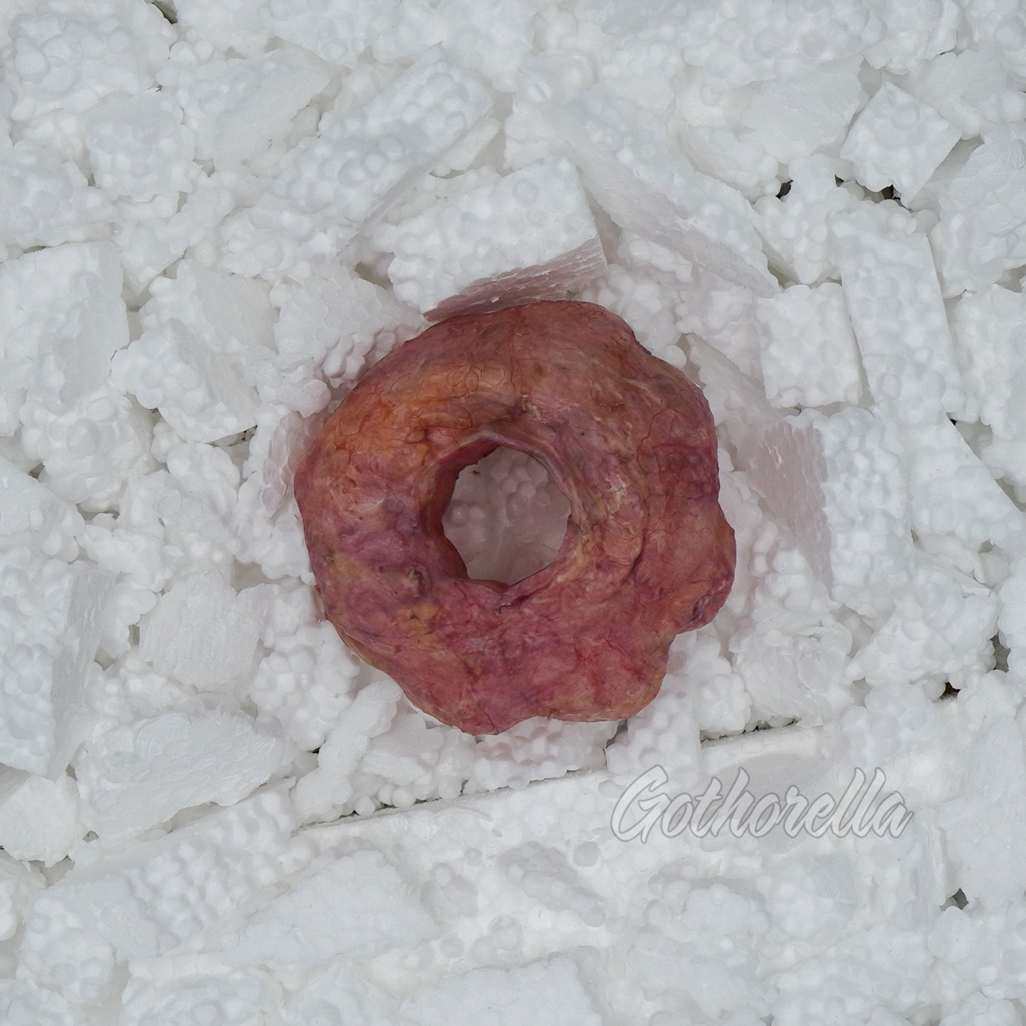 Jacinda the Fleshnut
